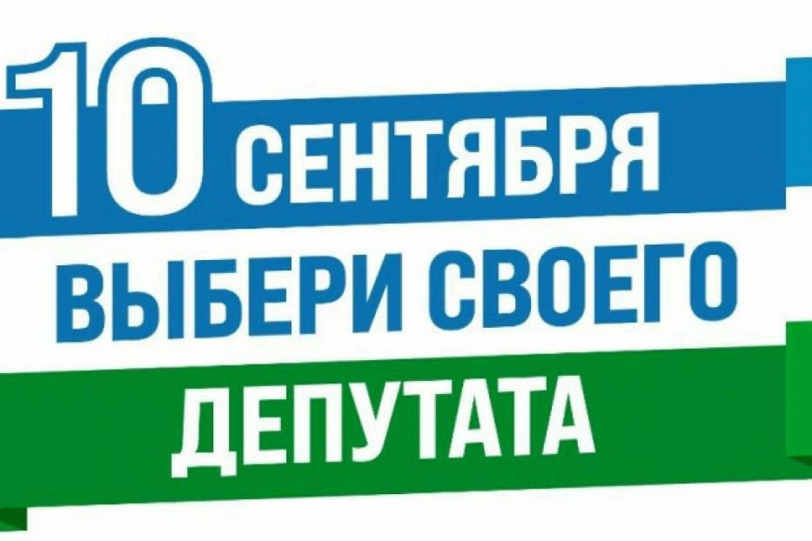 Выборы - 2023
