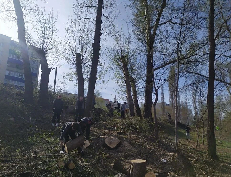 СЕРДЦА, ПОЛНЫЕ ГОРДОСТИ: СКФКУиС В АВАНГАРДЕ ЧИСТОТЫ И ПАМЯТИ
