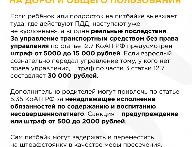 ПИТБАЙКИ: СПОРТ ИЛИ ОПАСНОСТЬ? РАЗБИРАЕМСЯ ВМЕСТЕ