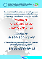 36921930.jpg